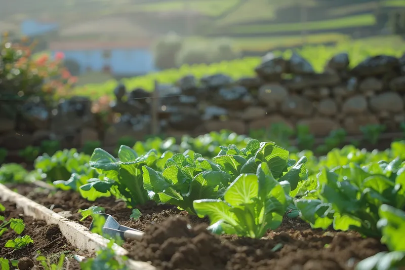 como cultivar canonigos